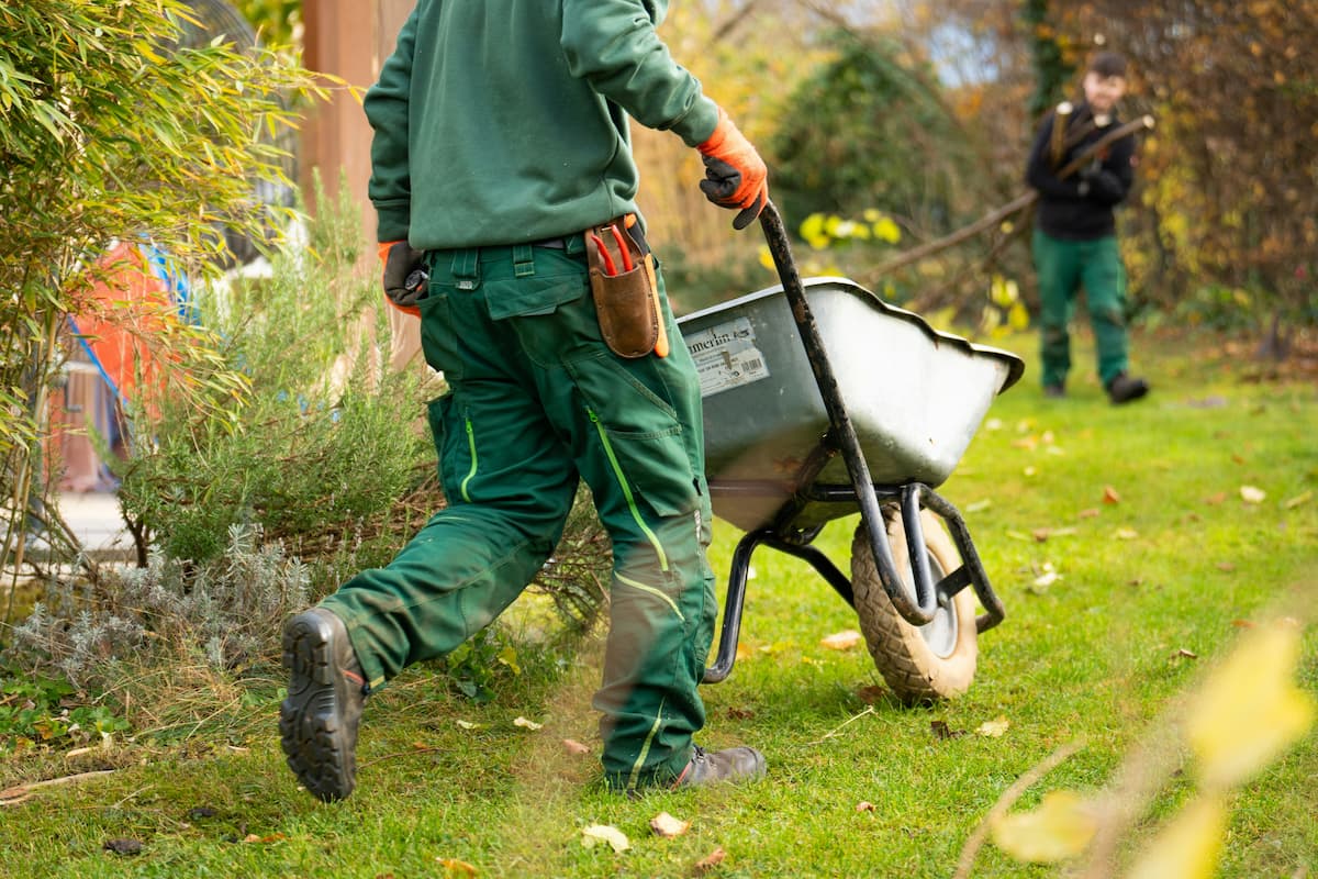 Landscape maintenance services